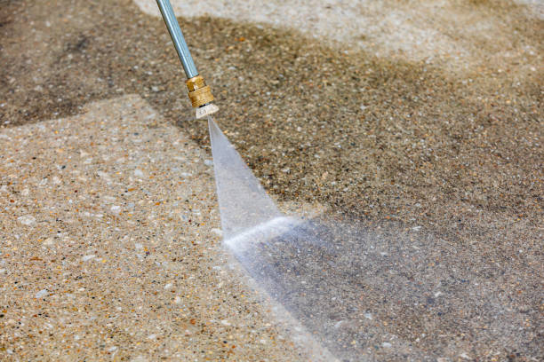 Best Animal Enclosure Cleaning  in Quartz Hill, CA